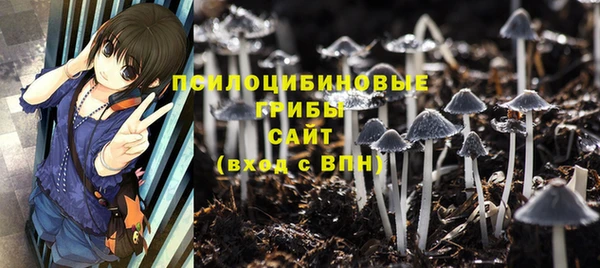 шишки Армянск