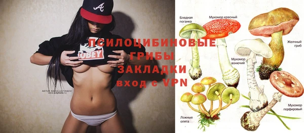 шишки Армянск