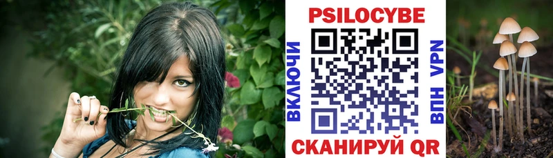 наркота  ОМГ ОМГ ссылка  Галлюциногенные грибы Psilocybe  Темрюк 